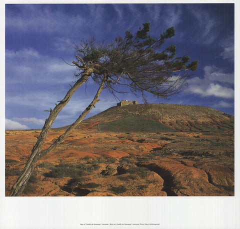 KLAUS SCHIDNIOGROTZKI View of "Castillo de Guanapay", Lanzarote, 2009