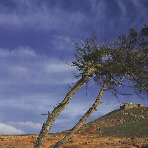 KLAUS SCHIDNIOGROTZKI View of "Castillo de Guanapay", Lanzarote, 2009