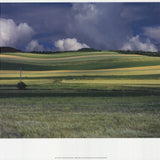 KLAUS SCHIDNIOGROTZKI Late Summer in the Eifel Area, Germany, 2009