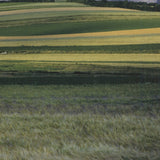 KLAUS SCHIDNIOGROTZKI Late Summer in the Eifel Area, Germany, 2009