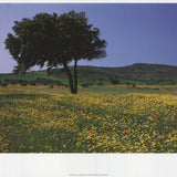 ARCHIV KIEDROWSKI Tuscany, Italy, 2009