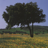 ARCHIV KIEDROWSKI Tuscany, Italy, 2009