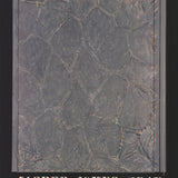 JASPER JOHNS Within, 2007