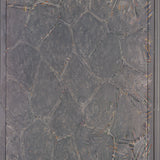 JASPER JOHNS Within, 2007