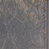 JASPER JOHNS Within, 2007
