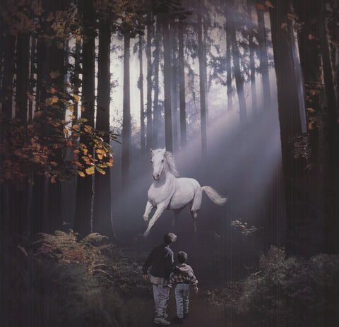 ARTIST UNKNOWN Into the West, 1993