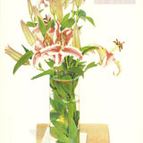 GARY BUKOVNIK California Still Life #40, 1990