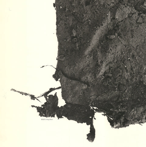 IRVING PENN Street Material, 1977