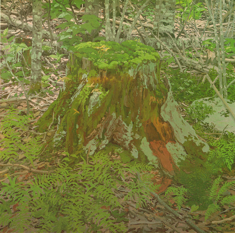 NEIL WELLIVER Stump, 1975