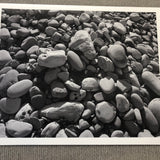 JAMES WELLING Ellwood Beach 25, 2011 - Signed