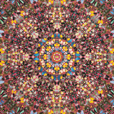 DAMIEN HIRST Superstition, 2007 - Signed