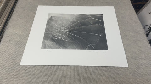 VIJA CELMINS Spider Web, 2009 - Signed