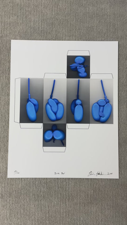 TIM HAWKINSON Bird Box, 2006 - Signed