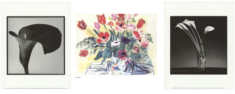 Bundle- 4 Assorted Mini Floral Posters