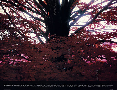 ROBERT BARRY Hoped For..., 1981