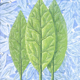 RENE MAGRITTE La belle saison, 2013