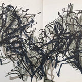 Riopelle (ETE), 1967