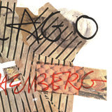 ROBERT RAUSCHENBERG Art Institute of Chicago, 1976