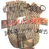 ROBERT RAUSCHENBERG Art Institute of Chicago, 1976