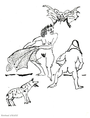 Descriptive image text