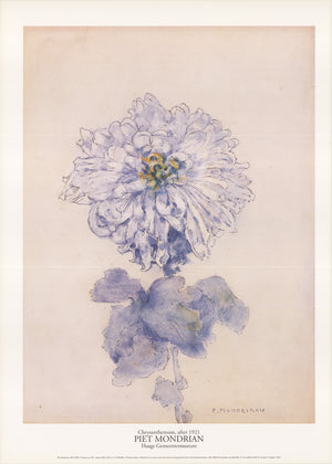 PIET MONDRIAN Chrysanthemum, 1996