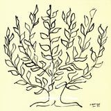 HENRI MATISSE The Bush (Small), 2015