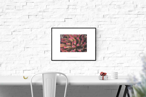 LENI RIEFENSTAHL Tentacles of Giant Anemone Stoichactis, 2002