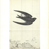 ALAIN LE YAOUANC The Swallow, 1969