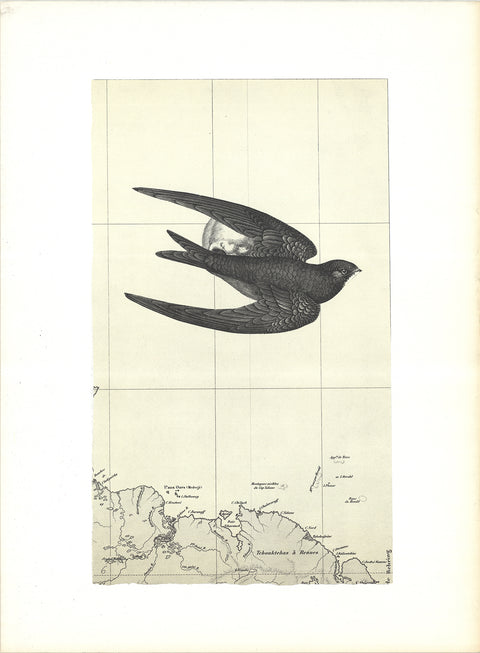 ALAIN LE YAOUANC The Swallow, 1969