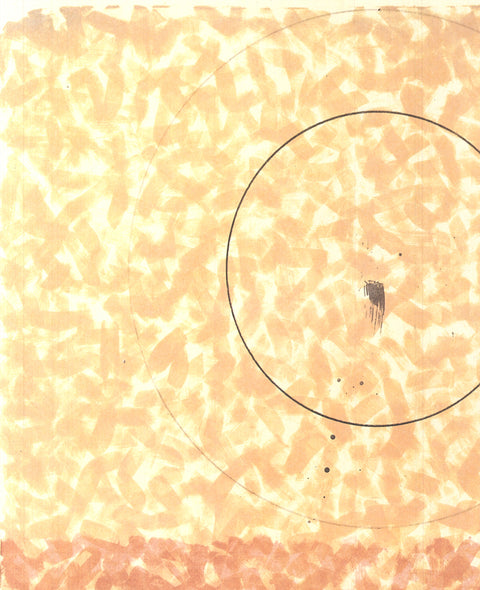 SHOICHI IDA Printed Echo No.1, 1993