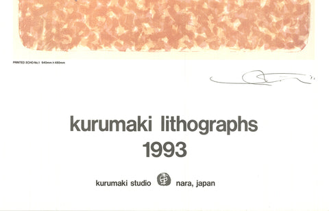 SHOICHI IDA Printed Echo No.1, 1993