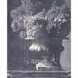ESTEBAN CHAVEZ Hydrangea Urn, 1997