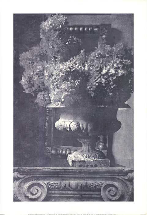 ESTEBAN CHAVEZ Hydrangea Urn, 1997