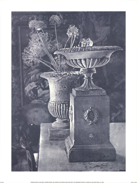 ESTEBAN CHAVEZ Allium Urns, 1997