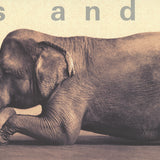 GREGORY COLBERT Boy Reading to Elephant, 2005