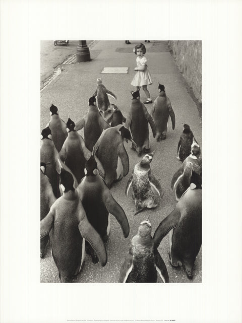 WERNER BISCHOF Penguins Day Out