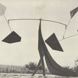 ALEXANDER CALDER Fafnis, 1973