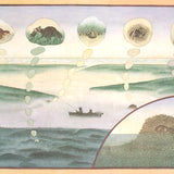 JAMES MCMULLAN Life in a Spring Salt Marsh, 1972
