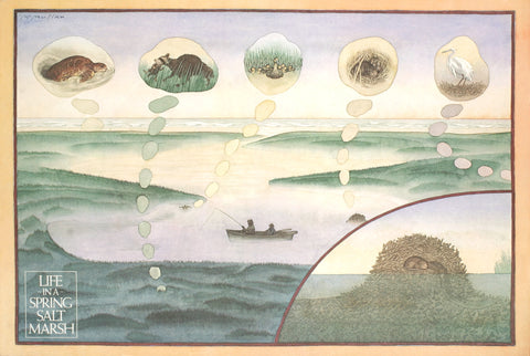 JAMES MCMULLAN Life in a Spring Salt Marsh, 1972