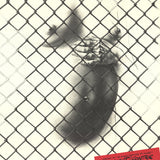 ERNEST PIGNON-ERNEST Against Apartheid, 1983