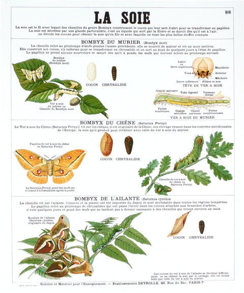 EMILE DEYROLLE La Soie (Silk), 2004