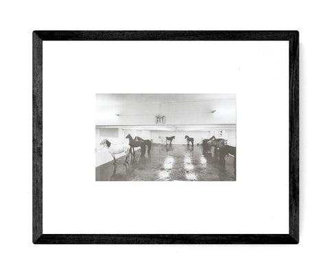 CLAUDIO ABATE Jannis Kounellis. Cavalli 1969, 2018