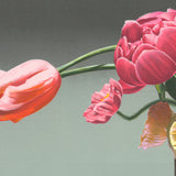 BEN SCHONZEIT Wedgewood, 1994