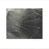 VIJA CELMINS Spider Web, 2009 - Signed