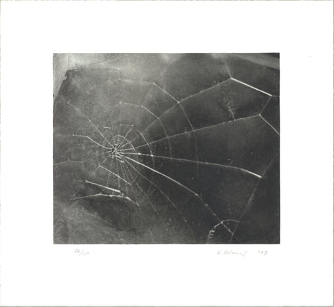 VIJA CELMINS Spider Web, 2009 - Signed