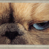 Lia Stein Colourpoint Bookmark