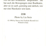 Lia Stein Bengalese Bookmark