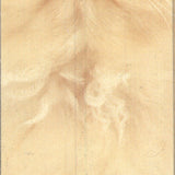 Lia Stein Exotic or Persian Bookmark