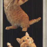 Lia Stein European Red Striped Tabby Bookmark