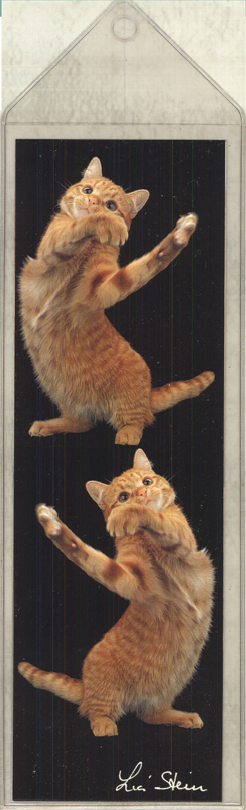 Lia Stein European Red Striped Tabby Bookmark
